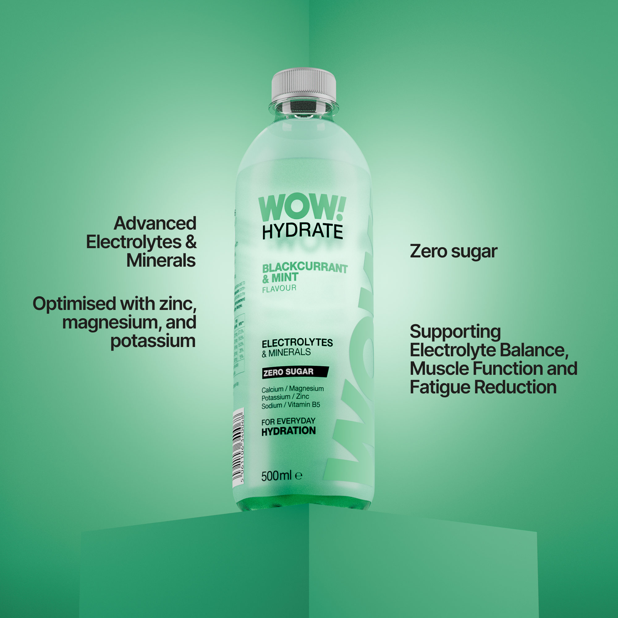 WOW! HYDRATE Blackcurrant & Mint